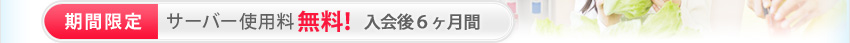 期間限定　サーバー使用料無料！ 2011年9月末日まで